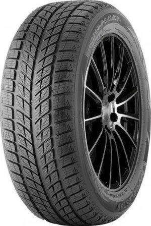 Double Star 245/40R18 93H DW09