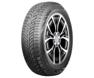 Autogreen 205/55R16 91H AW08