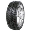 MINERVA Eco Stud (naast) 195/55 R16 87T