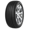 MINERVA F205 205/45 R17 88 XLW